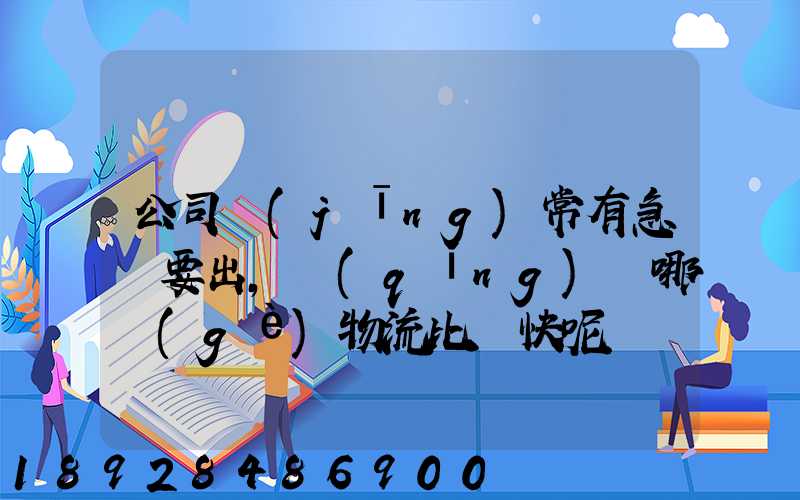 公司經(jīng)常有急貨要出，請(qǐng)問哪個(gè)物流比較快呢？